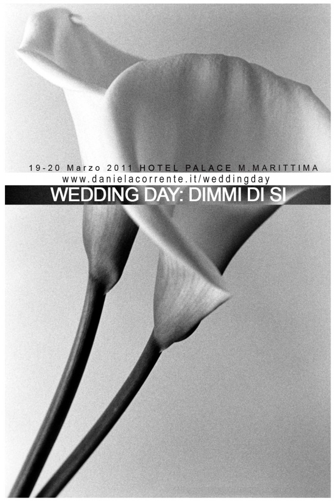 WEDDING DAY DIMMI DI SI' 1° ed.